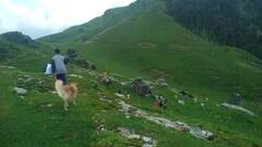 उत्तरकाशी का सरनौल-सुतुड़ी-सरूताल ट्रैक, जन्नत सी है खूबसूरती, जानें- कैसे पहुंचें यहां?