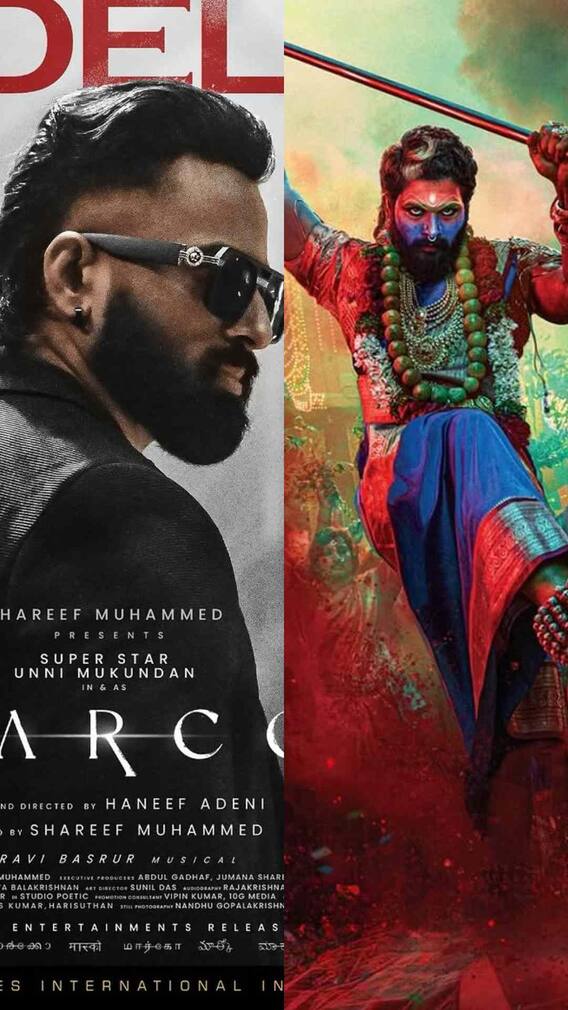 पुष्पा 2 ही नहीं इन फिल्मों का भी बॉक्स ऑफिस पर बज रहा डंका