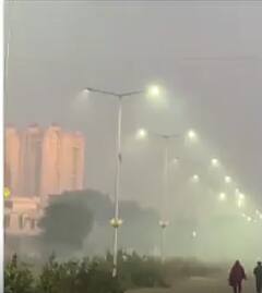 शहर में शीतलहर और कोहरे की स्थिति बनी हुई है | ABP NEWS SHORTS