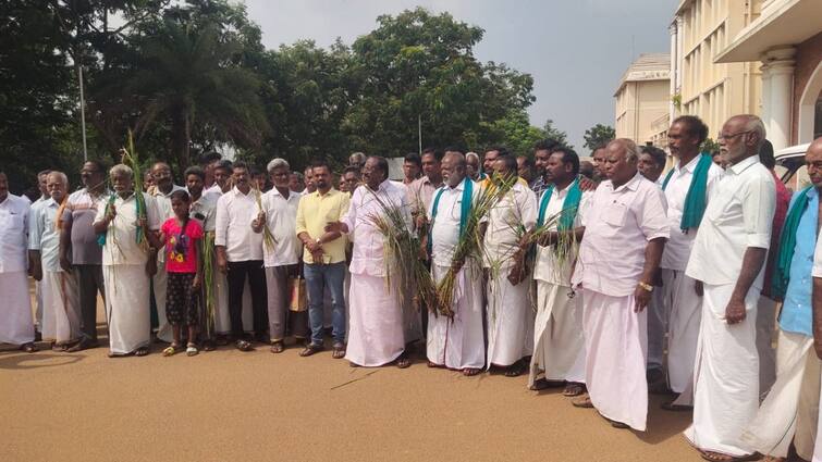 Thanjavur news  Relief has also been left aside Chitrakudi farmers are in agony tnn பதராகி விட்டது... நிவாரணத்திலும் ஒதுக்கி விட்டார்கள்: சித்திரக்குடி விவசாயிகள் வேதனை