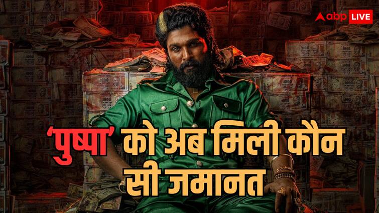 Allu Arjun gets bail in Pushpa 2 screening case know difference between interim bail and regular bail अल्लू अर्जुन तो पहले से जमानत पर थे, तो अब कोर्ट ने उन्हें कौन सी जमानत दे दी है? जान लीजिए अंतर 