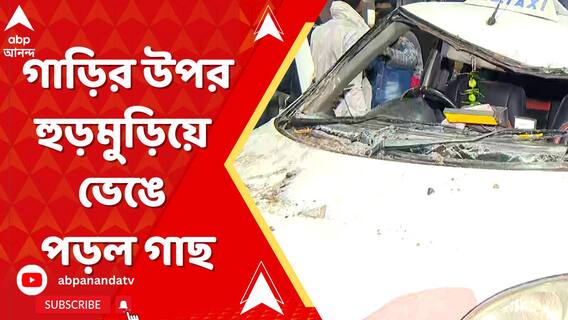 হাজরা রোডে গাড়ির উপর হুড়মুড়িয়ে ভেঙে পড়ল গাছ