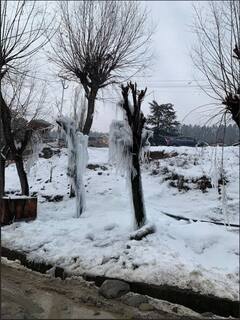 Kashmir Snowfall: सफेद बर्फ की चादर से ढकी पूरी कश्मीर घाटी, टंगमर्ग में -4.6 डिग्री तक पहुंचा तापमान