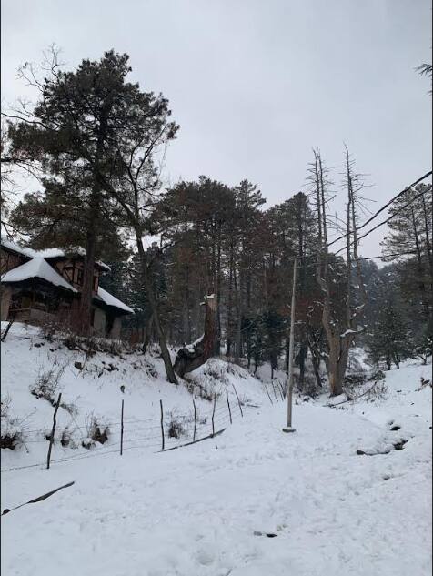 इसके अलावा कश्मीर के ऊंचे इलाकों में भी लगातार बर्फबारी के आसार हैं. कश्मीर के फेमस टूरिस्ट डेस्टिनेशन गुलमर्ग जाने के लिए जम्मू कश्मीर पुलिस की ओर से गाड़ियों की सघन जांच की जा रही है.