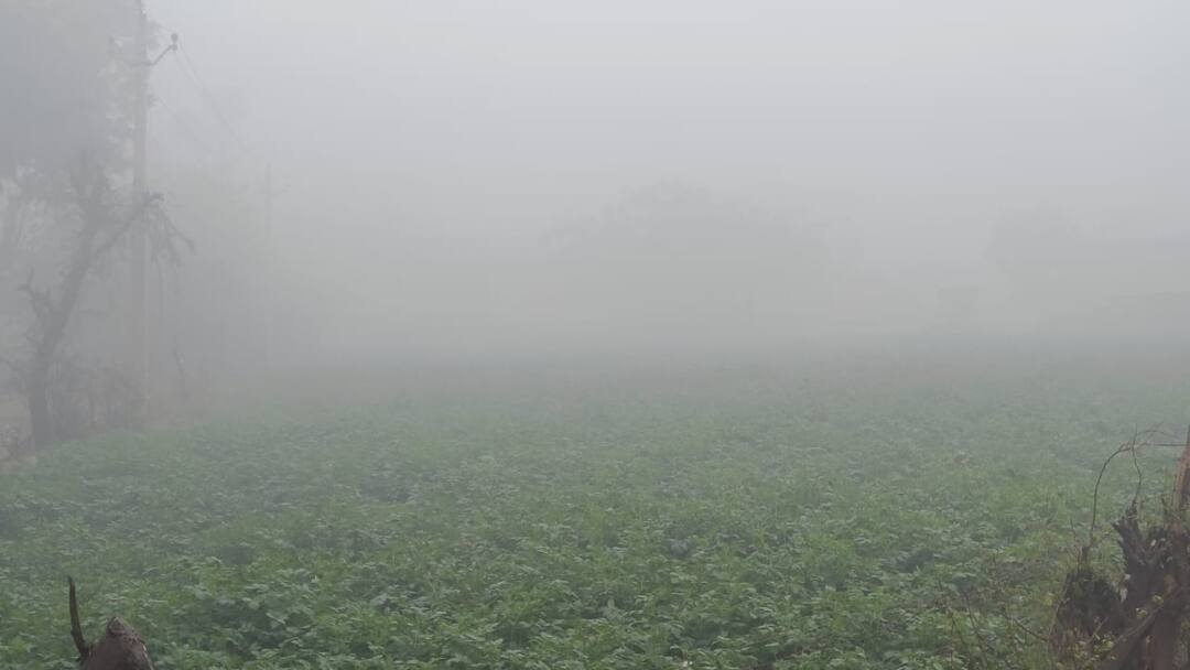 फिरोजाबाद में ठंड का डबल अटैक, कोहरे के साथ शीत लहर ने बढ़ाई लोगों की परेशानी Firozabad Weather News Today Cold wave and Fog increase cold in Firozabad ann फिरोजाबाद में ठंड का डबल अटैक, कोहरे के साथ शीत लहर ने बढ़ाई लोगों की परेशानी