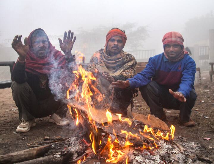 सर्दी ने लोगों को घरों में कैद कर दिया है. पशु भी सर्दी को मात देने अलाव के पास नजर आए. शुक्रवार को घने कोहरे के बाद दोपहर में करीब 12 बजे धूप निकली थी. शाम होते-होते फिर से ठंडी हवाएं चलने लगीं. रात 10 बजे से शहर और बाहरी इलाकों में घना कोहरा छा गया.