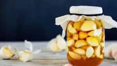 મધ અને લસણનું સેવન હાર્ટ માટે ફાયદાકારક, અનેક બીમારી રહેશે દૂર, જાણો અન્ય ફાયદા