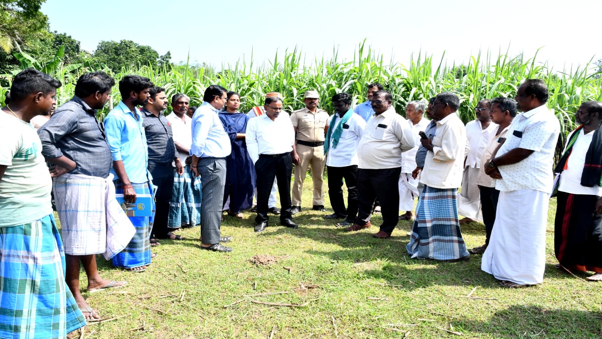 Pongal Parisu Thoguppu 2025: இந்த பொங்கலுக்கு எத்தனை குடும்பங்களுக்கு பொங்கல் பரிசுத்தொகுப்பு தெரியுமா...?