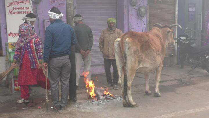 राजस्थान में ठंड का कहर और घने कोहरे का असर जारी है. हाड़ कंपा देनेवाली सर्दी ने लोगों की जिंदगी मुश्किल बना दिया है. विजिबिलिटी कम होने से दिन में भी चालकों को वाहनों की लाइट जलाकर चलना पड़ रहा है.