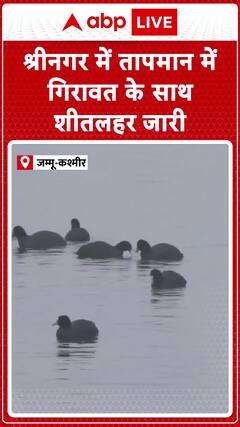 Cold Wave Continues in Srinagar as Temperatures Dip in Jammu and Kashmir