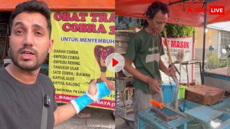 Cobra meat and meat dumplings are available in Indonesia video goes viral प्याज-टमाटर की तरह सड़कों पर बिक रहा कोबरा का मांस, वीडियो देख खड़े हो जाएंगे रोंगटे