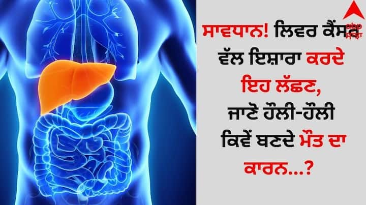 Liver Cancer Signs: ਕੈਂਸਰ ਇੱਕ ਗੰਭੀਰ ਬਿਮਾਰੀ ਹੈ। ਇਸ ਬਿਮਾਰੀ ਦੇ ਮਾਮਲੇ ਵਿੱਚ ਲਗਾਤਾਰ ਵੱਧ ਰਹੇ ਹਨ। ਲੀਵਰ ਕੈਂਸਰ ਦੇ ਮਾਮਲੇ ਵੀ ਵਧੇ ਹਨ। ਹਾਲਾਂਕਿ ਇਨ੍ਹੀਂ ਦਿਨੀਂ ਲੀਵਰ ਨਾਲ ਸਬੰਧਤ ਬੀਮਾਰੀਆਂ ਕਾਫੀ ਵਧ ਗਈਆਂ ਹਨ।