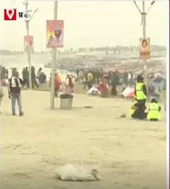 महाकुंभ मेला 2025 की तैयारी जोरों पर जारी | ABP NEWS SHORTS