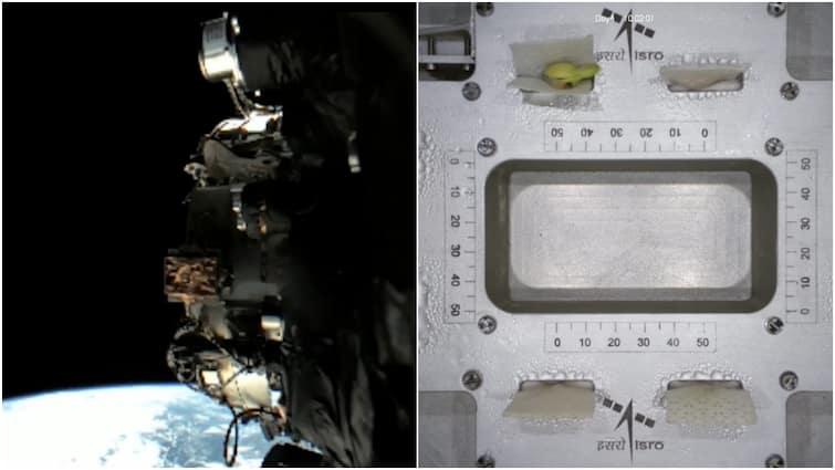 WATCH: SpaDeX Chaser Snaps 'Space Selfie' With Earth While ‘Life Sprouts’ On ISRO’s Orbital Lab In Microgravity