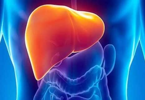 ફેટી લીવર પાચન તંત્રને અસર કરે છે, જે ઉબકા અને ઉલટીનું કારણ બની શકે છે. ફેટી લીવરને કારણે સ્નાયુઓમાં દુખાવો અને નબળાઈ થઈ શકે છે. ફેટી લીવરના દર્દીઓને પગ કે હાથમાં પણ સોજો આવી શકે છે.