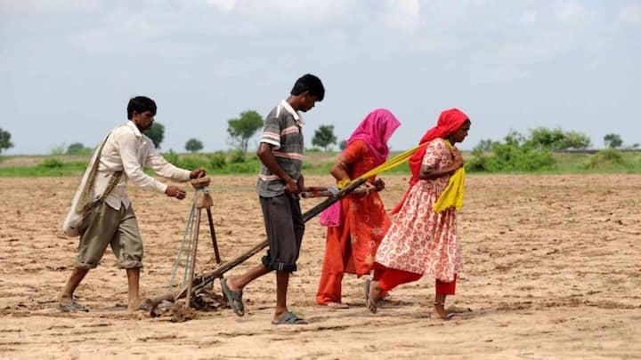 इन किसानों में बात की जाए तो बहुत से किसान छोटे स्तर पर खेती और किसानी करते हैं. इस तरह के सीमांत किसानों को भारत सरकार आर्थिक सहायता देती है. इसके लिए भारत सरकार ने साल 2019 में पीएम किसान सम्मान योजना शुरू की थी.