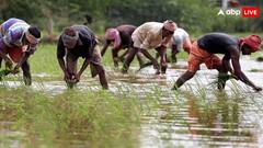 किसान भूलकर भी न करें ये तीन गलतियां, नहीं तो अटक जायेंगे पीएम किसान योजना के पैसे