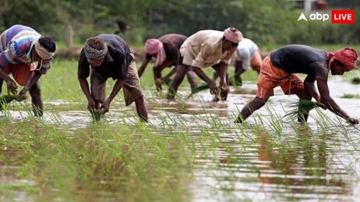 PM Kisan Yojana: किसान योजना में लाभ ले रहे सभी लाभार्थी किसानों को योजना से जुड़े यह तीन काम पूरे करवा लेने बहुत जरूरी हैं. नहीं तो अटक सकता है योजना में मिलने वाला लाभ.