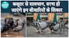 What Diseases Can You Contract From Pigeons? Understanding Health Risks Linked to These Birds | Health Live