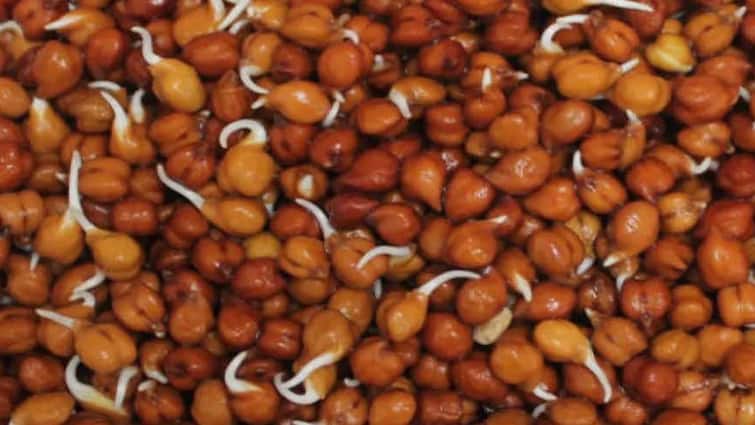 Health Tips Chana-soaked-in-water-or-boiled-gram-which-one-is-more-beneficial-for-health Health Tips: પાણીમાં પલાળીને કે બાફીને, કઈ રીતે ચણા ખાવા સ્વાસ્થ્ય માટે છે વધુ ફાયદાકારક?