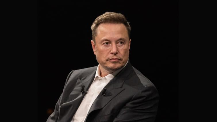 ELON MUSK LOST 