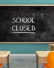 ਇਨ੍ਹਾਂ ਸਬੰਧੀ ਸਕੂਲਾਂ 'ਚ ਸਿਰਫ ਆਨਲਾਈਨ ਕਲਾਸਾਂ ਹੀ ਲੱਗਣਗੀਆਂ। ਸਕੂਲਾਂ ਨੂੰ ਕਿਹਾ ਗਿਆ ਹੈ ਕਿ ਉਹ ਆਨਲਾਈਨ ਕਲਾਸਾਂ ਸਵੇਰ 9 ਵਜੇ ਤੋਂ ਬਾਅਦ ਹੀ ਲਾਉਣ ਤੇ ਇਸ ਅਨੁਸਾਰ ਹੀ ਸਕੂਲ ਦਾ ਸਟਾਫ ਸੱਦਣ।