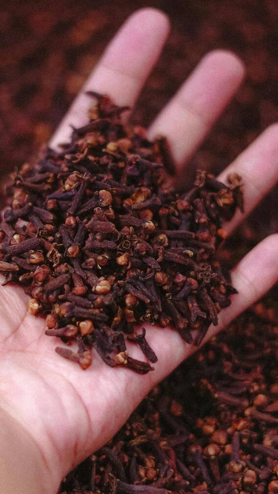 बेहद आसान है गमले में लौंग उगाना