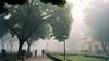 Chennai Fog: சென்னையில் நாளை குளிர் எந்தளவு இருக்கும்? வானிலை மையம் சொல்வது என்ன?
