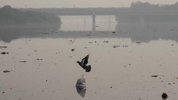 Delhi Govt To Start Cruise Services On Yamuna River, Will Connect These Places