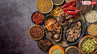 'ठंड में पच जाएगा...' बोलकर आप भी जमकर डाल रहे हैं मसाले? जान लें ये कितना खतरनाक