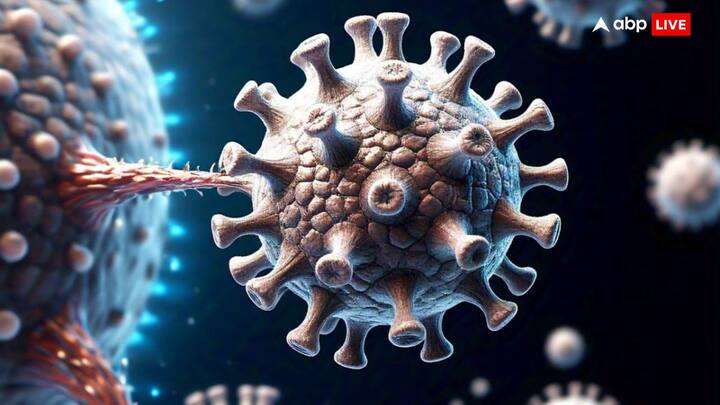 चीन में इस वायरस के प्रकोप के बाद भारत में भी एचएमपीवी के फैलने की आशंका जताई जा रही है. भारतीय सरकार ने इस वायरस से बचाव के लिए सतर्कता बढ़ा दी है और लोगों को मास्क पहनने और हाथ धोने जैसी सावधानियां बरतने की सलाह दी है. इसके साथ ही भारतीय स्वास्थ्य मंत्रालय ने इस वायरस पर विशेष निगरानी रखने का फैसला लिया है.