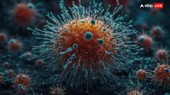 HPV Virus Origin: 66 વર્ષથી ધરતી પર છે HMPV Virus, ઇગ્નૉર કરવાનો લઇ રહ્યો છે બદલો, જાણો કેટલો ખતરનાક