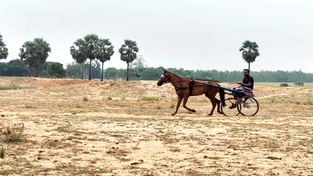 பாய்ச்சலுக்கு தயாராகும் குதிரை மற்றும் மாடுகள் - எங்கே தெரியுமா...?