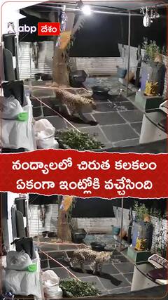 నంద్యాలలో చిరుత కలకలం..ఏకంగా ఇంట్లోకి వచ్చేసింది.!