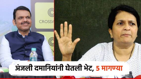 अंजली दमानियांनी घेतली मुख्यमंत्र्यांची भेट; फडणवीसांकडे प्रमुख 5 मागण्या, वाल्मिक कराडची कुंडलीच काढली