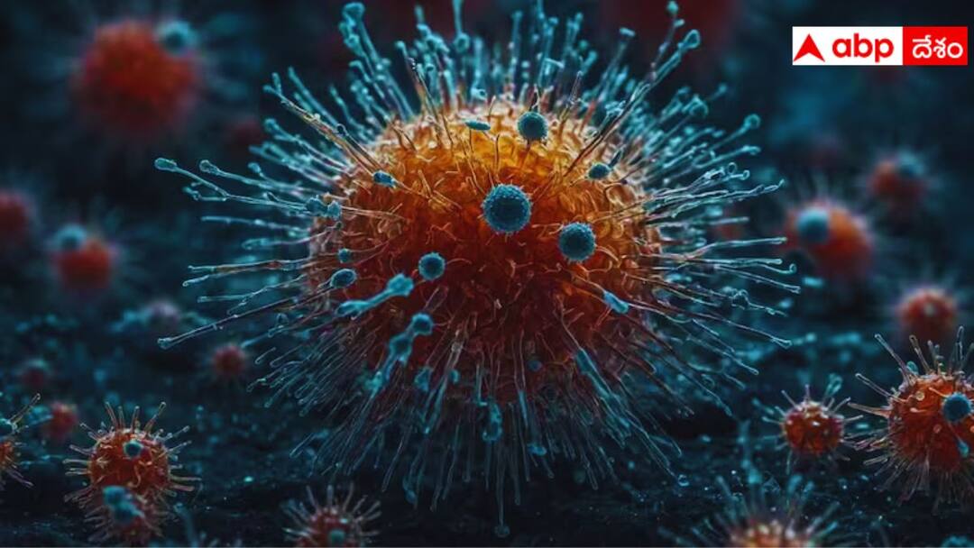 First HMPV Case In India: భారత్లో ఒకేరోజు రెండు HMPV Virus కేసులు! బెంగళూరులో చిన్నారులకు పాజిటివ్ India Reports First HMPV Case 8 Month Old Baby Tests Positive In Bengaluru First HMPV Case In India: భారత్లో ఒకేరోజు రెండు HMPV Virus కేసులు! బెంగళూరులో చిన్నారులకు పాజిటివ్