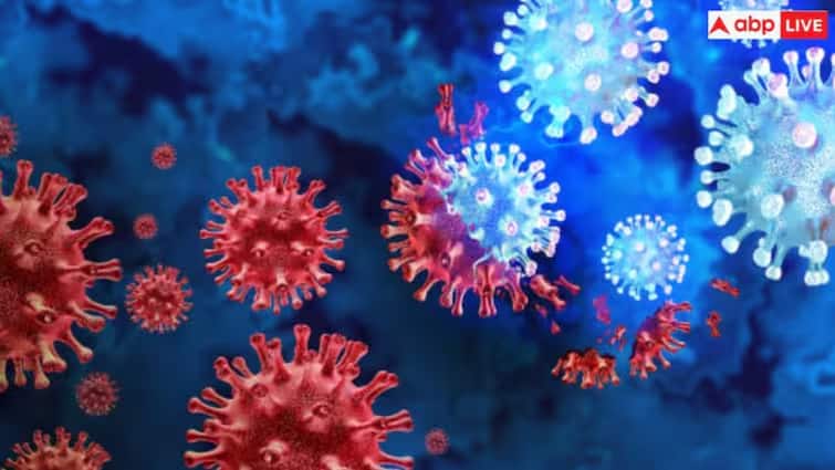 HMPV Virus Threatens Weak Immune Systems, Health Minister Hrishikesh Patel Issues Warning આ લોકો માટે HMPV વાયરસ ચિંતાજનક છે – આરોગ્ય મંત્રિ ઋષિકેશ પટેલનું નિવેદન