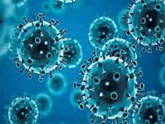 HMPV Virus: ચીનમાં આતંક મચાવી રહેલા હ્યુમન મેટાન્યુમોવાયરસે દેશની વધારી ચિંતા, દિલ્લીમાં એડવાઇઝરી જાહેર