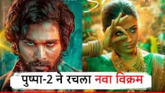 गेल्या 30 वर्षांत कुणालाच जमलं नाही ते पुष्पा-2 ने करून दाखवलं, अल्लू अर्जुनच्या चित्रपटाची कमाई वाचून थक्क व्हाल!