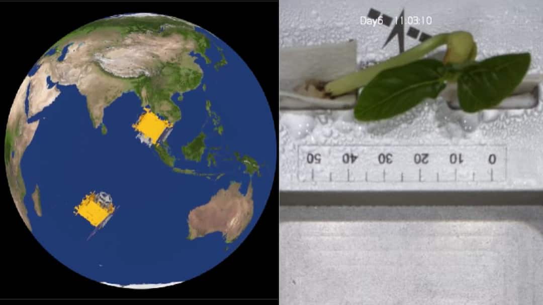 ISRO Plant: சாதித்த இஸ்ரோ.! விண்வெளி செடியில் இலை துளிர்விட்டது.! நீங்களே பாருங்க