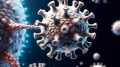 HMPV Virus in India : HMPV ची भारतात एन्ट्री; दोघांना लागण