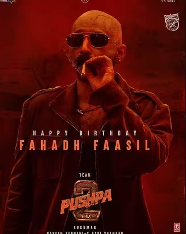 पु्ष्पा-2 हा चित्रपट 5 डिसेंबर रोजी सिनेमागृहांत प्रदर्शित झाला होता. तेव्हापासून हा चित्रपट गेल्या 33 दिवसांपासून चित्रपटगृहांमध्ये चालू आहे. दरम्यानच्या काळात या चित्रपटाने बॉक्स ऑफिसवरचे अनेक रेकॉर्ड्स मोडले आहेत. या चित्रपटाला आज 33 दिवस झाले आहेत.