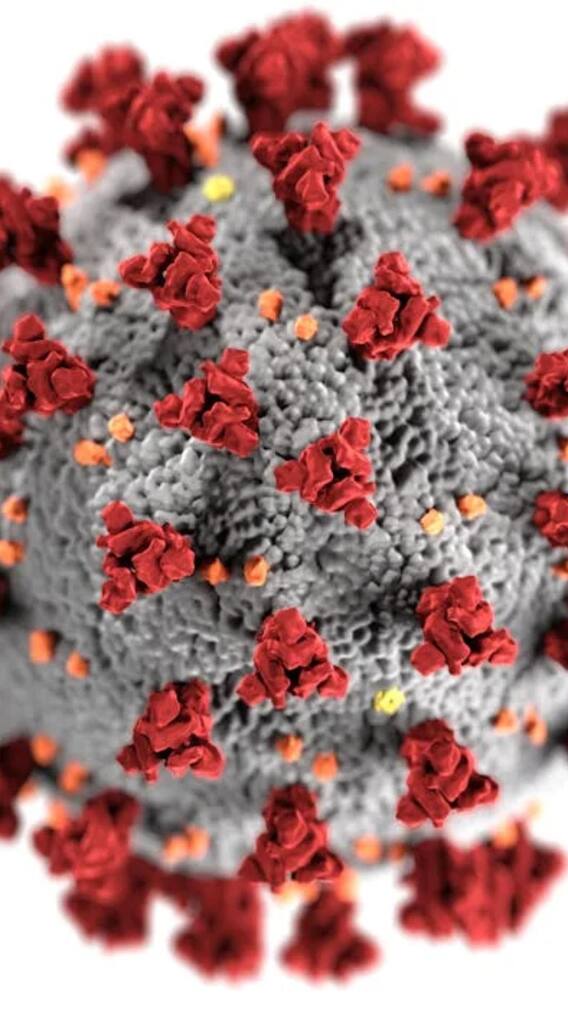 ये हैं चीन में फैलने वाली सबसे गंभीर बीमारियां