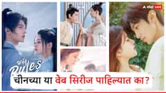 अशी चीनी अभिनेत्री जिच्या सौंदर्यापुढे अनेकजणी फिक्या, तिच्या 'या' पाच वेब सिरीज पाहिल्यात का?