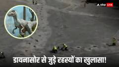 इंग्लैंड में मिला 166  करोड़ साल पुराना डायनासोर हाईवे, असाधारण खोज में जानिए और क्या मिला