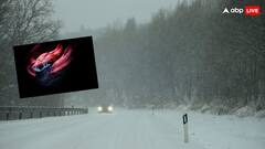 Facts of snakes: ઠંડા પ્રદેશમાં કેમ જોવા નથી મળતાં સાંપ, જાણો તેની પાછળનું કારણ