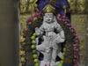 சஷ்டி; கரூர் கற்பக விநாயகர் ஆலயத்தில் வீற்றிருக்கும் ஸ்ரீ முருகனுக்கு விபூதி அலங்காரம்