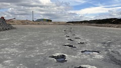 इंग्लैंड में मिला 166  करोड़ साल पुराना डायनासोर हाईवे, असाधारण खोज में जानिए और क्या मिला