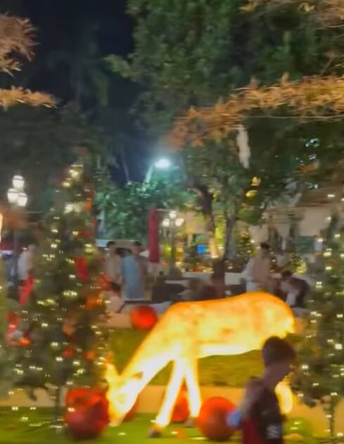 कीर्ति ने थाईलैंड में क्रिसमस और न्यू ईयर सेलिब्रेशन की झलक भी शेयर की है.