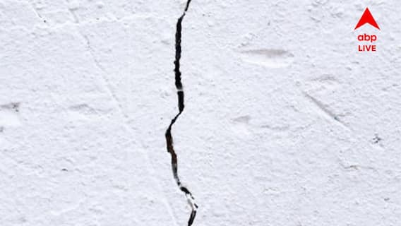 At Least 36 Killed After Earthquake Strikes Tibet Region As Tremors Jolt Nepal, Bihar: Report